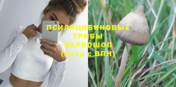 хмурый Алзамай