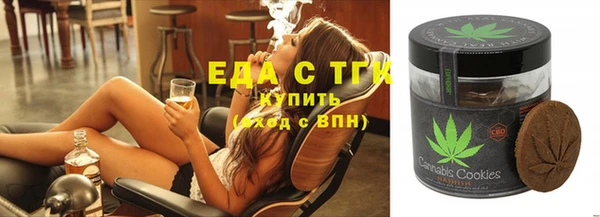 хмурый Алзамай