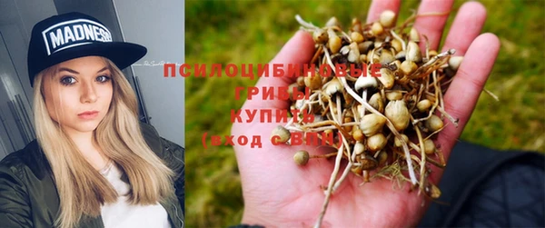 прущий лед Алексин