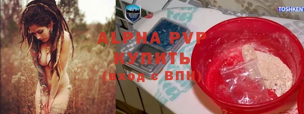 хмурый Алзамай