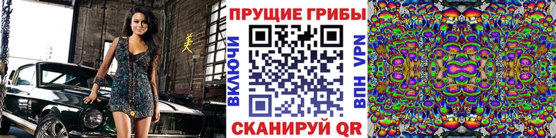 хочу   Анжеро-Судженск  Галлюциногенные грибы мицелий 